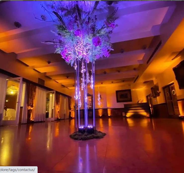 Allestimento Luci e Audio Marsound – Allestimento Luici Matrimonio: Illuminazione Location